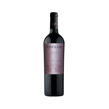 Tommasi merlot trevenezie...
