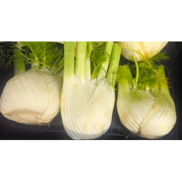 Fenykl z itálie 500g
