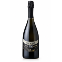 Colferai vallotaj col blanc cuvée extra dry bílé víno šumivé 0,75l